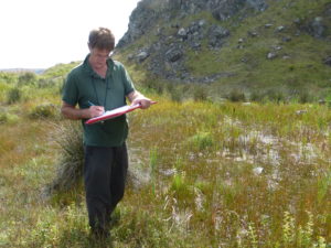 Plant surveys botanical surveys NVC